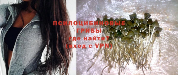 соль ск Новый Уренгой
