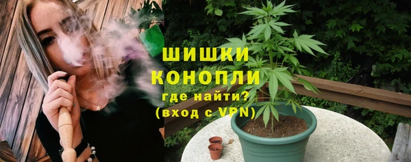 твердый Михайлов