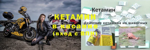 твердый Михайлов