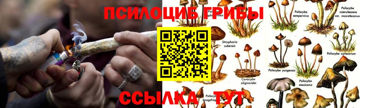 Каменск-Уральский  Псилоцибиновые грибы Cubensis  Вход с VPN 