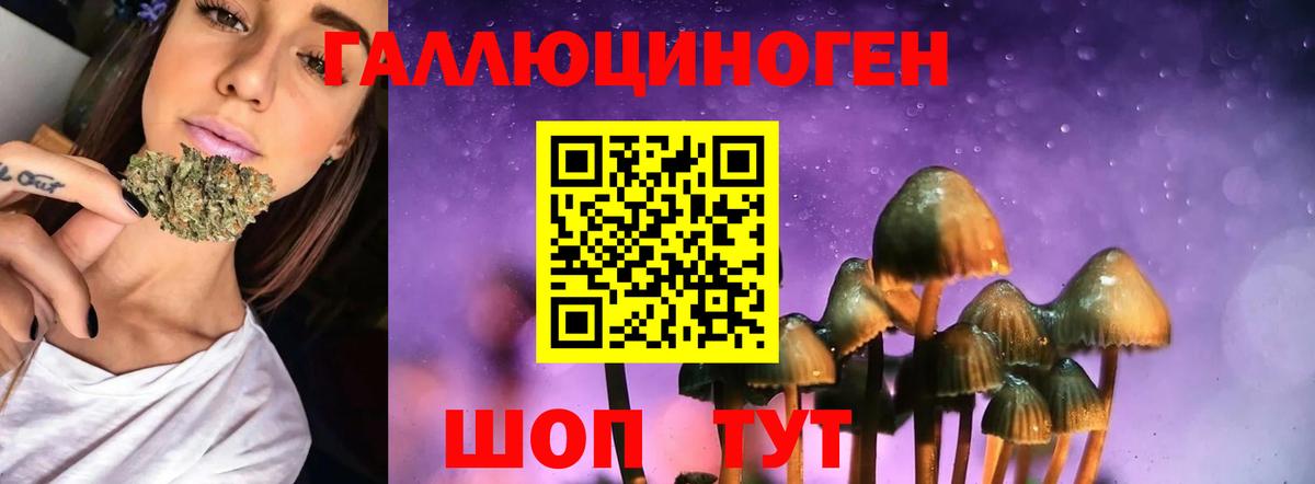 Псилоцибиновые грибы Cubensis Каменск-Уральский